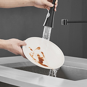 2-spray mode stainless steel kitchen faucet